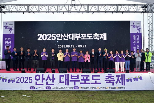 안산시 19일 '2025년 안산 대부포도축제' 개막식 개최