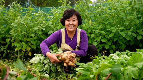 파주시 영세소농 농산물 생산 작업 현장