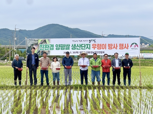 양평군 친환경 양평쌀 생산 우렁이 방사 행사