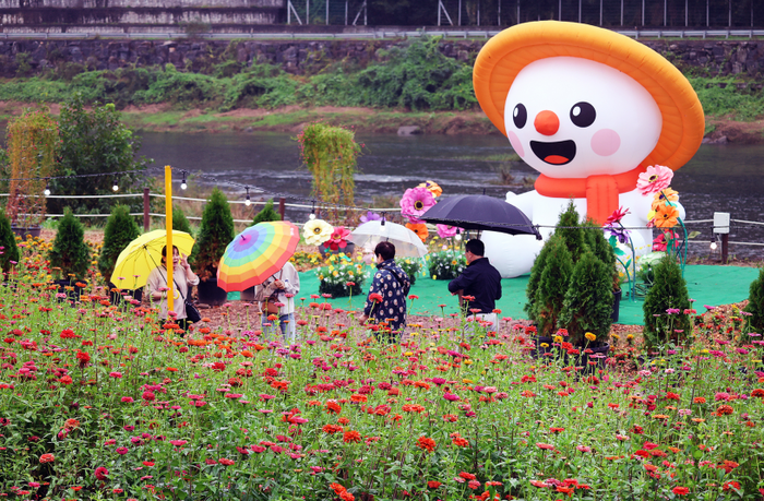 2025 평창 백일홍축제