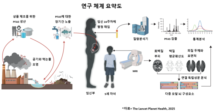 연구 체계 요약