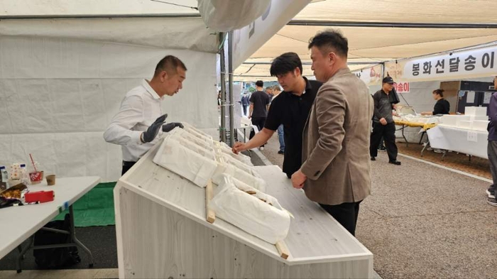 송이향에 물든 봉화, 미식과 문화가 어우러진 가을의 향연