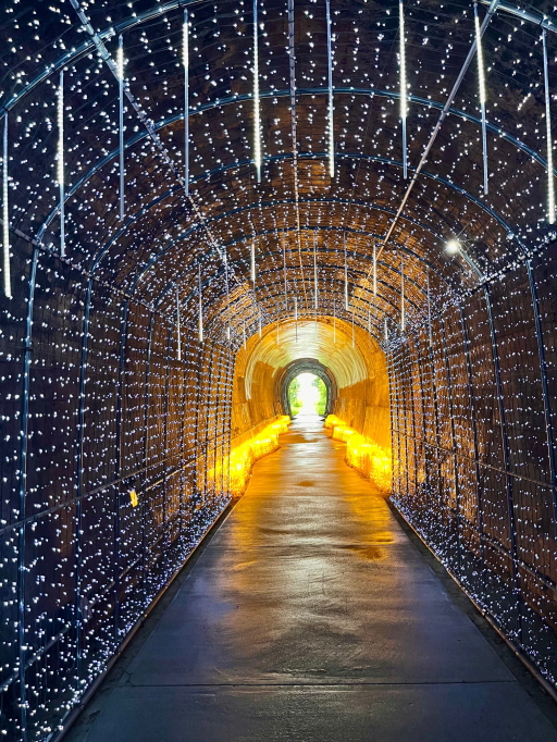바람길숲 전면 개통