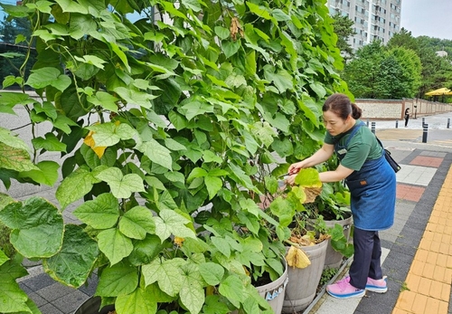 양주시 '찾아가는 도시농업 서비스' 현장
