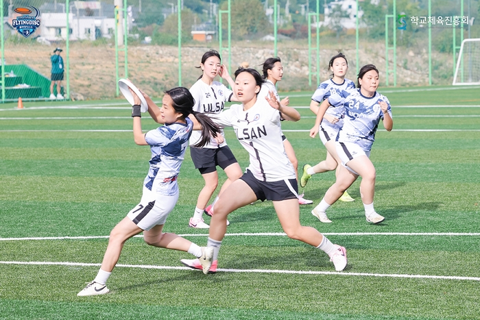 경북교육청, 제18회 전국학교스포츠클럽 축전 플라잉디스크대회 개최