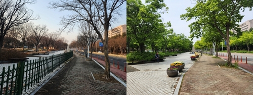 고양특례시 일산호수공원 휀스 개방 공사 전후