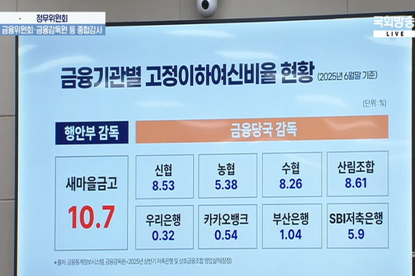 상호금융 NPL
