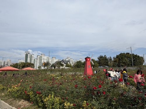 양주시 2025년 양주나리농원 가을 개장