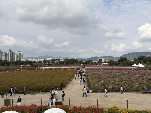 양주시 2025년 양주나리농원 가을 개장