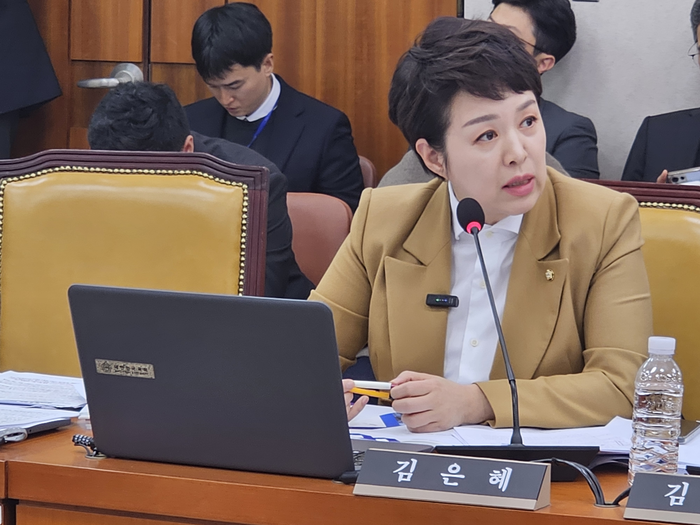 항공철도사고조사위원회와 제주항공을 상대로 질의하는 김은혜 국민의힘 의원. 사진=박규빈 기자