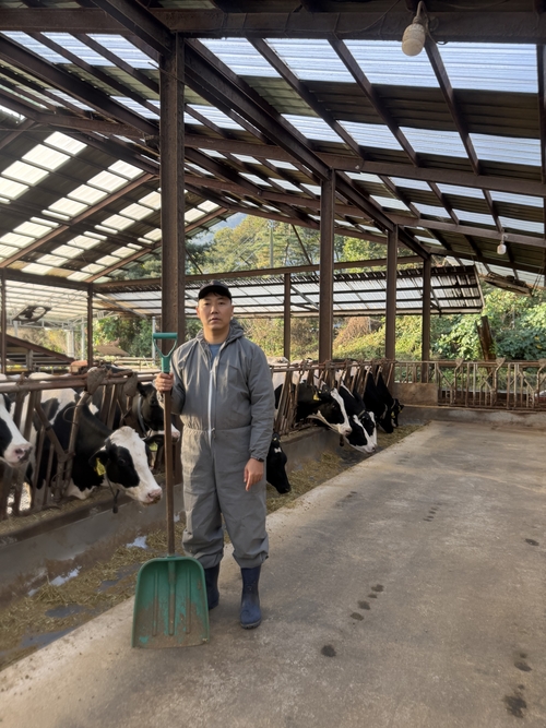 남양주시 화도읍 젖소 사육 농가 '송촌목장' 전경