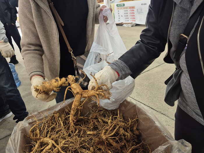 제23회 홍천 인삼·한우 명품축제와 제10회 홍천사과축제