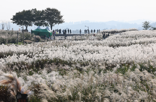29일 서울 마포구 하늘공원을 찾은 시민들이 경치를 즐기고 있다.