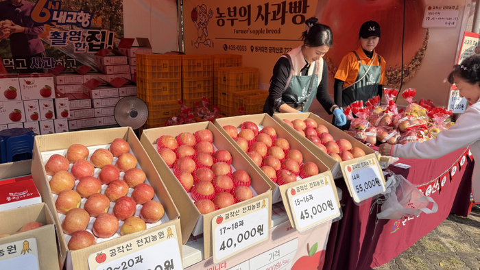 제23회 홍천 인삼·한우 명품축제와 제10회 홍천사과축제