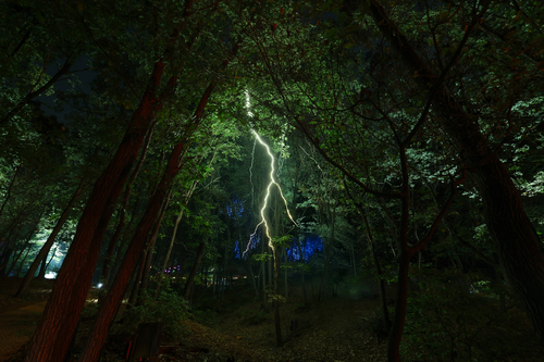 부천 루미나래 천둥 구간 전경