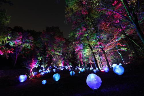 부천 루미나래 도화씨 구간 전경