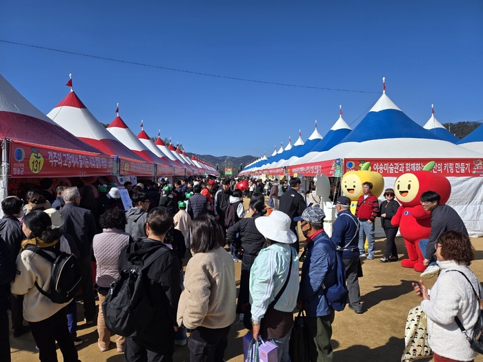 50만 인파 몰린 '청송사과축제'