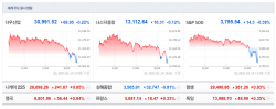 뉴욕증시, 바이든 부양책 기대에도 美금리 불안 (다우, 0.22%↓)