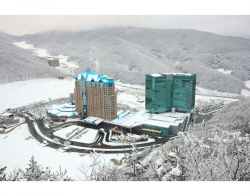 강원랜드, 비대면 액티비티 등 상품 다양화로 코로나 위기 극복