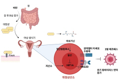 카이스트 연구팀 "여성 비만, 생식기 통한 특정 성병 바이러스 감염 억제"