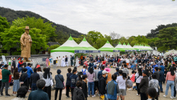 경상북도, 5월 경북 곳곳에서 다채로운 축제 열려 ‘손님맞을준비 한창’