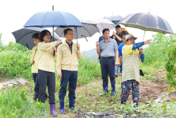 김보라 안성시장, "긴장의 끈은 계속...시민안전에 최선 다할 것"