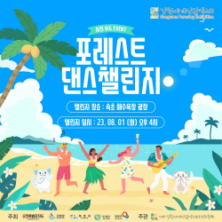 강원세계산림엑스포 붐업
