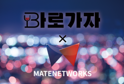 메이트네트웍스,