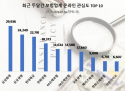 보험사 소비자 관심도, 손보가 생보 제쳤다…1위는