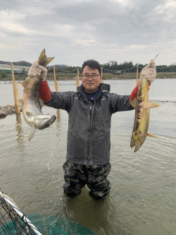 경상북도 민물고기연구센터,고향인 왕피천으로 돌아온 어미 연어 2마리(암컷 1, 수컷 1) 포획