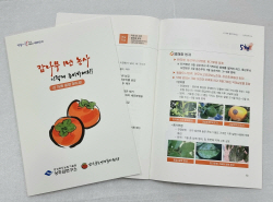 경북농업기술원 상주감연구소, ‘떫은감 재배’ 방법 지침서 발간