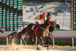 디펜딩 챔피언 ‘어마어마’ 제16회 국제신문배 우승