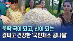 값싸고, 몸에 좋고, 뚝딱 국이 되고, 찬이 되는