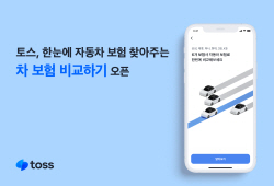 자동차보험 한눈에...토스,