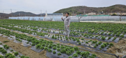 미산농장,