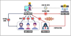 국세청, 음란방송BJ·중고명품거래 등 온라인 탈세 21명 세무조사 착수