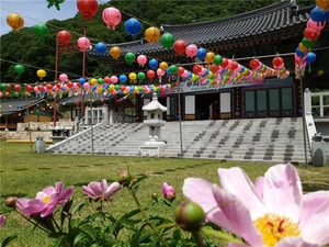남양주 보광사, 부처님오신날 예술콘서트 15일 선봬