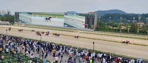 마사회 경마 코리아컵, 올해 실속·권위 ‘업그레이드’