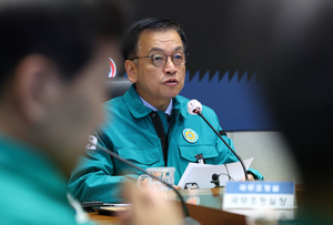 최상목 권한대행 “사고 항공기 동일 기종 6개 항공사 101대 특별안전점검”