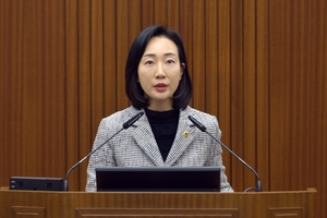 김효숙 의원, “세종시 상가 공실 문제 2025년 해결 원년 삼아야”