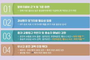 정부, 차보험사기·부정수급 근절 나서…“2400만 가입자 부담 완화”