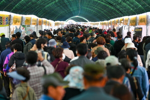 건강의 도시 영주, 인삼 향기와 흥겨운 장터로 물들다