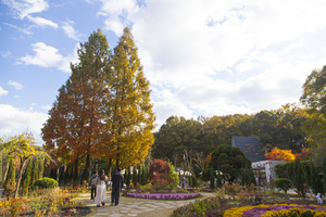 경기관광공사, ‘숲에서의 하루’ 테마로 가을숲길 6곳 추천
