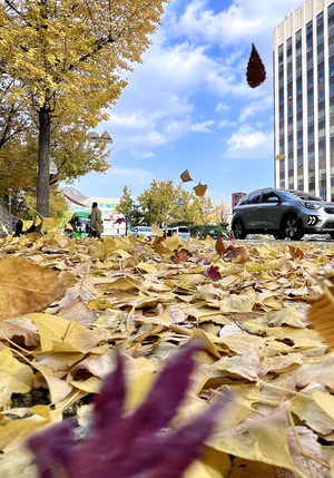 11일 아침 영하권 추위…일교차 10도 이상 주의