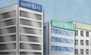 보험사 연말 임원인사 키워드, ‘리스크 관리·세대교체’