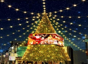 연말 부산의 밤 화려한 빛으로 물들다