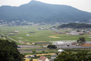 유정복, “강화남단은 미래산업 전환 앞당길 국가적 실험장이자 새로운 성장축” 강조