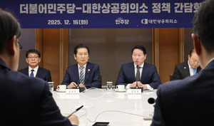 대한상의, 與지도부에 ‘지역별 전기요금 차등제’ 건의