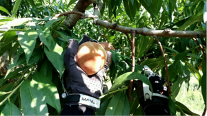 유클리드소프트, 농작업 인지·판단 구조 담은 멀티모달 AI 데이터 구축