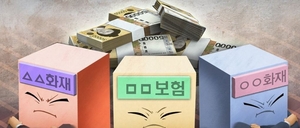 ‘자본성증권’ 최대치인데…보험사 올해부터 재무 관리에 진땀